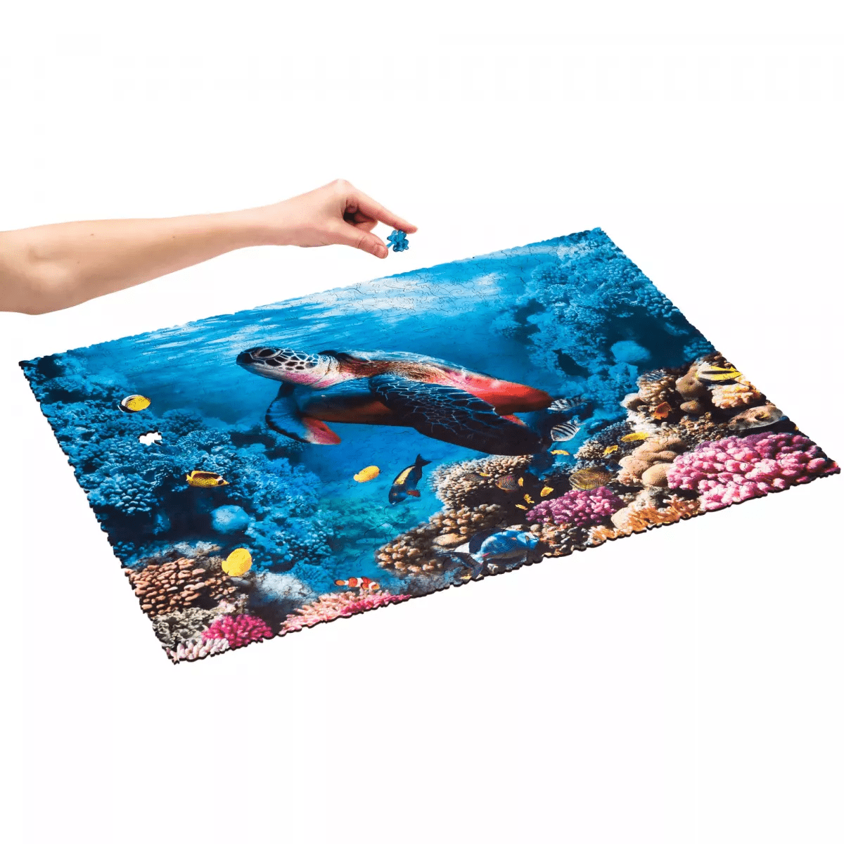 Unidragon Puzzle Shimmering Turtle